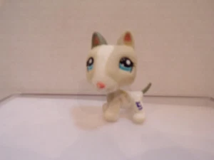 Littlest Pet Shop~#1665~Bull Terrier~Puppy Dog~Beige White~1 Gray Ear~Hat Box - Picture 1 of 4