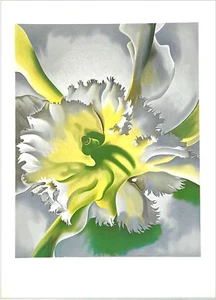 Georgia O'Keeffe AN ORCHID 1941, Lithograph, Flower Close-Up, Yellow Green Gray - Picture 1 of 6