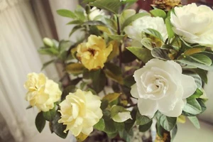 LINK B - Picture 1 of 1