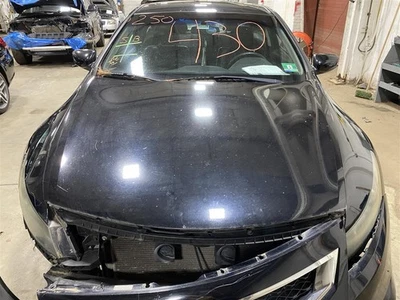 HOOD Honda Accord 2008 08 2009 09 2010 10 2011 11 2012 12 Black 1427445 - Image 1 of 4