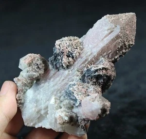 305g 120mm Rosette Ematite su Quarzo dall'Interno Mongolia Cina CM571501 - Foto 1 di 5