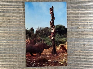Disneyland gefangene Safari Nashorn Flüsse Welt Abenteuerland Chrom Postkarte - Bild 1 von 2