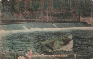 Peter Tyers Fox Landing Frog Lee Massachusetts Vintage View 1909 Postcard - Picture 1 of 2