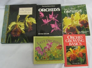 ORCHIDS 5 Book Lot Growing Basics Easy Craft Guides Illustrated Paintings - Picture 1 of 16