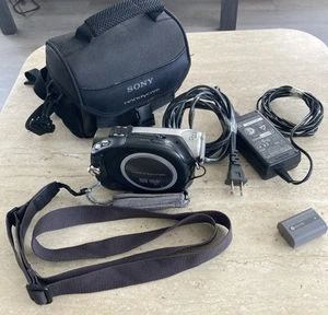 Sony Handycam DCR-DVD92 Camcorder 20x Optical Zoom 800x Zoom,Cords,Bag & Battery - Picture 1 of 13