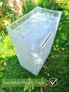💥 10 stapelbare Aufbewahrungsschalen, Kisten, Boxen, Behälter - Haus, Heimwerker, Gemüse, Garten - Bild 1 von 4