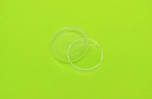 Petri Dish Borosilicate Glass Culture Tissue 60mm LAB Specimen NEW - Picture 1 of 1