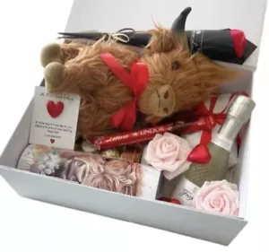 Highland Cow Gift Box Hamper With Teddy & Tumbler Birthday / Anniversary/ Gift - Picture 1 of 3