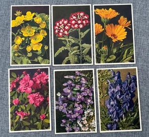 JUEGO DE POSTALES VINTAGE COLOR MADRIGUERA FLORES ED X 6 POSTALES - Imagen 1 de 4
