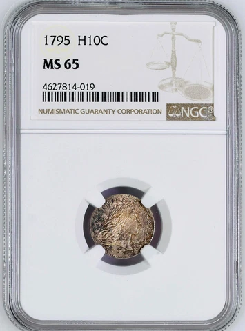 1795 FLOWING HAIR H10C NGC MS 65 Cover