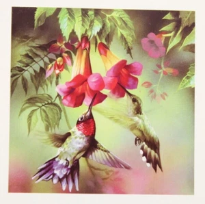 Kit attrezzi per immagini diamantate 5D colibrì - Foto 1 di 6