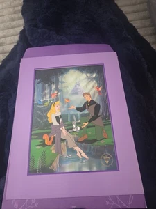 Disneys Dornröschen exklusive Gedenk-Lithographie-Sammlung 14" x 11" - Bild 1 von 2