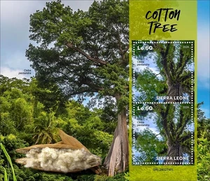 Cotton Tree MNH Stamps 2024 Sierra Leone M/S - Picture 1 of 1