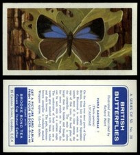 Purple Hairstreak #38 British Butterflies 1963 Brooke Bond Tea Card