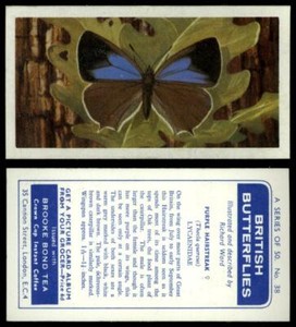 Purple Hairstreak #38 British Butterflies 1963 Brooke Bond Tea Card