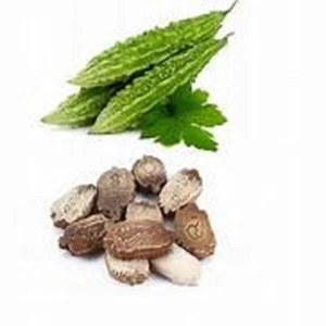 Bitter Gourd /Karavila 50 Seeds free shipping world wide - Picture 1 of 4