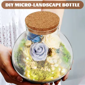 Cork Sealed Clear Micro Landscape Bottle Multi-purpose Glass Flower Vase - Picture 1 of 12