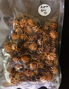 Mini Natural Rustic Pine Cone Ornaments with Gold String - Picture 1 of 10