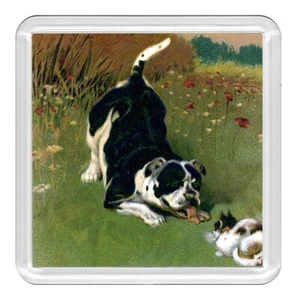 Staffordshire Bullterrier Hund & Katze Acryl Untersetzer Neuheit Trinkbecher Matte Geschenk - Bild 1 von 1