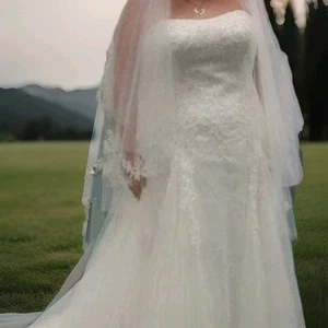 9V3469 David's bridal wedding gown - Picture 1 of 4