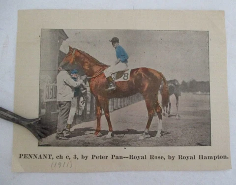 Early 1900s Hand colored Clipping of racehorse PENNANT BY Peter Pan-Royal Rose Cover