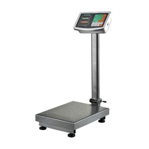 Digital Electronic Platform Scale Portable Floor Scale 300KG 220V - Picture 1 of 4