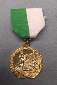 gold 1 1/4" diameter baseball batter award pin ribbon green and white - Picture 1 of 1