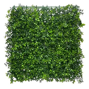 Künstliche Ruscusmatte, 50x50cm. Wandbegrünung Pflanzenwand Buchsbaum - Bild 1 von 3