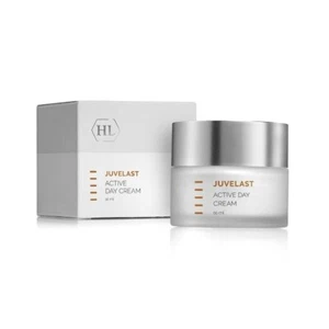 Holy Land ACTIVE DAY CREAM from JUVELAST line 250 ml - Picture 1 of 1