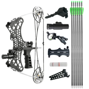 35lbs Mini Compound Bow Set Right Left Hand Archery Fishing Hunting Laser Sight - Picture 1 of 18