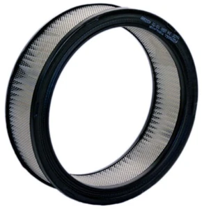 ELEMENTO FILTRO ARIA - PUROLATORE/AC/FRAM TA33380 -1 by KTS - Foto 1 di 1