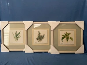 Impresiones de hierbas enmarcadas - Juego de 3 franceses de albahaca salvia romero decoración de cocina totalmente nuevas - Imagen 1 de 11