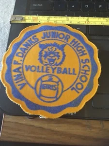 Parche Vintage Vina F Danks Junior High School Niñas Voleibol - Imagen 1 de 2