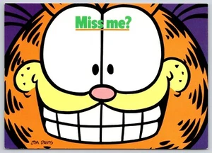 Garfield All Face Chesy Grin Miss Me? Postal de cómic de humor - Imagen 1 de 2