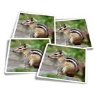 4x Square Stickers 10 cm - Cute Wild Chipmunk Rodent Animal Kids  #16625-2