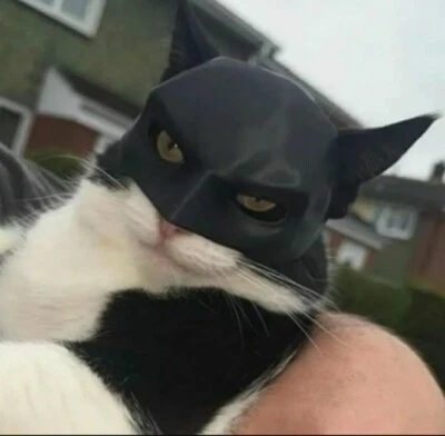 Katze Maske Batman - Bild 1 von 2