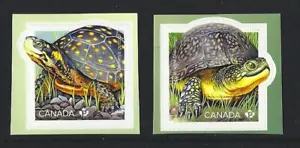 KANADA 2019 GEFÄHRDETE SCHILDKRÖTEN SELBSTKLEBENDES PAAR UNMONTIERT NEUWERTIG, POSTFRISCH - Bild 1 von 1