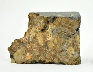 14,49 g Eucrite Melt Breccia taglio angolare I HED I Taoudenni 005 - TOP METEORITE - Foto 1 di 4