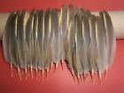 30 French Partridge Wing Quill Feathers 4.5" - 5" ~ Millinery Crafting Jewellery