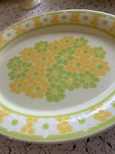 Franciscan Picnic Earthenware Plates Bowls Cups Serving Vintage *pick pieces* - Picture 1 of 20