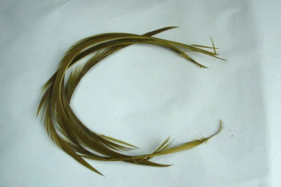 PECHETRUITE 4 x Biot quills d'oie OLIVE montage fliegen gouse feather fly tying trout