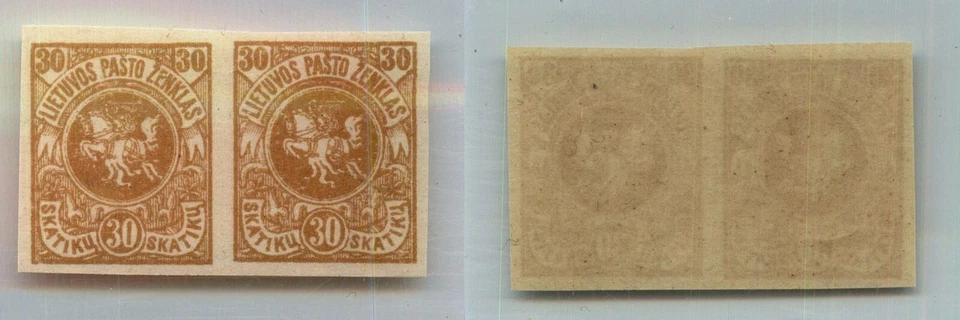 Lituania 1919 SC 53 MNH par horizontal imperfecto. rtc207 Foto 1 de 1