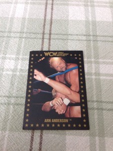 WCW Trading Cards 1991 Arn Anderson #2 Championship Marketing, Inc. Single
