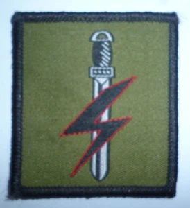 SPECIAL FORCES SUPPORT GROUP TACTICAL RECOGNITION FLASH. - Picture 1 of 1