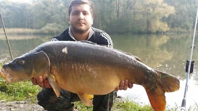 Lockfutter 20 kg- Vanille, Scopex, Mais, FruchtMix, Heilbut, Knoblauch, BigFish - Bild 1 von 4