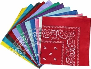 Bandana Paisley Print 100% Cotton Scarf Head Wrap Neck Headband - Picture 1 of 61