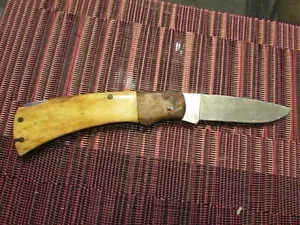 Vintage Mustang Parker Cutlery Co. Single Blade Knife 2.25" Surgical Steel Blade - Picture 1 of 12