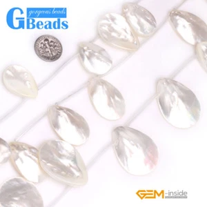 Natural Fan-Shaped White Sea Shell Beads For Jewelry Making Free Shipping 10 Pcs - Picture 1 of 16