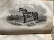 Print 1860 The ROYAL CONQUEROR - Thomas Groves, Park House Spofforth Wetherby