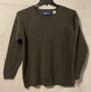 Express Bleus 100% Wool Sweater Mens Large Blended Color Wool Knit Pullover - Picture 1 of 7